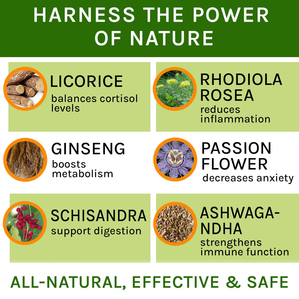 TwoFurFinds plantes sèches (ashwagandha réglisse rhodiola) illustrant formulation naturelle