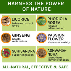 TwoFurFinds plantes sèches (ashwagandha réglisse rhodiola) illustrant formulation naturelle
