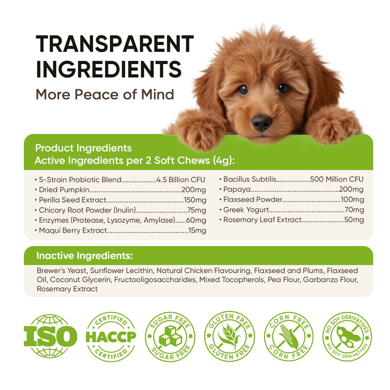 TzzyiC mode de vie chien heureux démontrant digestion améliorée et énergie