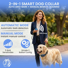 UBERDAWGZ collier sur chien pendant promenade, confort et contrôle