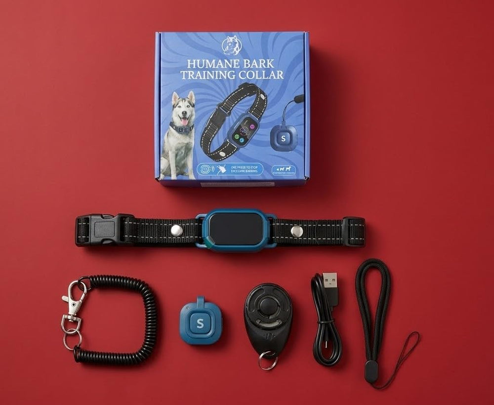 UBERDAWGZ kit complet incluant collier, télécommande et clicker de dressage
