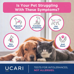 Gros plan sur échantillon de fourrure UCARI, propreté et collecte sans stress pour l'animal