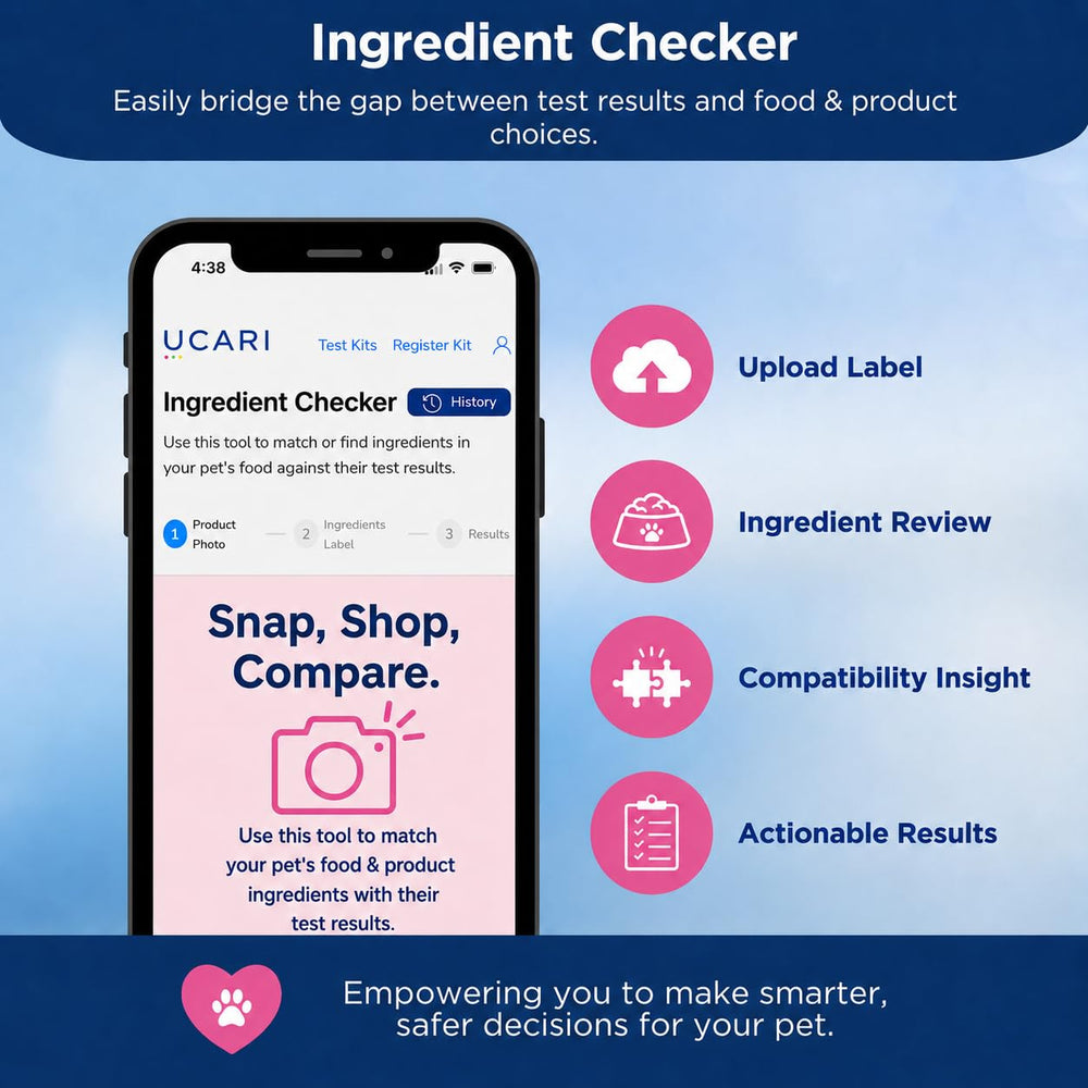 Chien et chat à la maison avec kit UCARI, aide à choisir aliments et soins adaptés