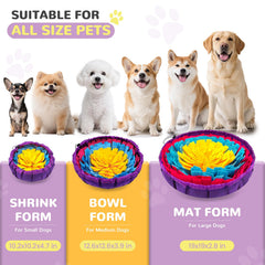 UETZLTB chien utilisant le tapis, stimulation mentale et activité de recherche