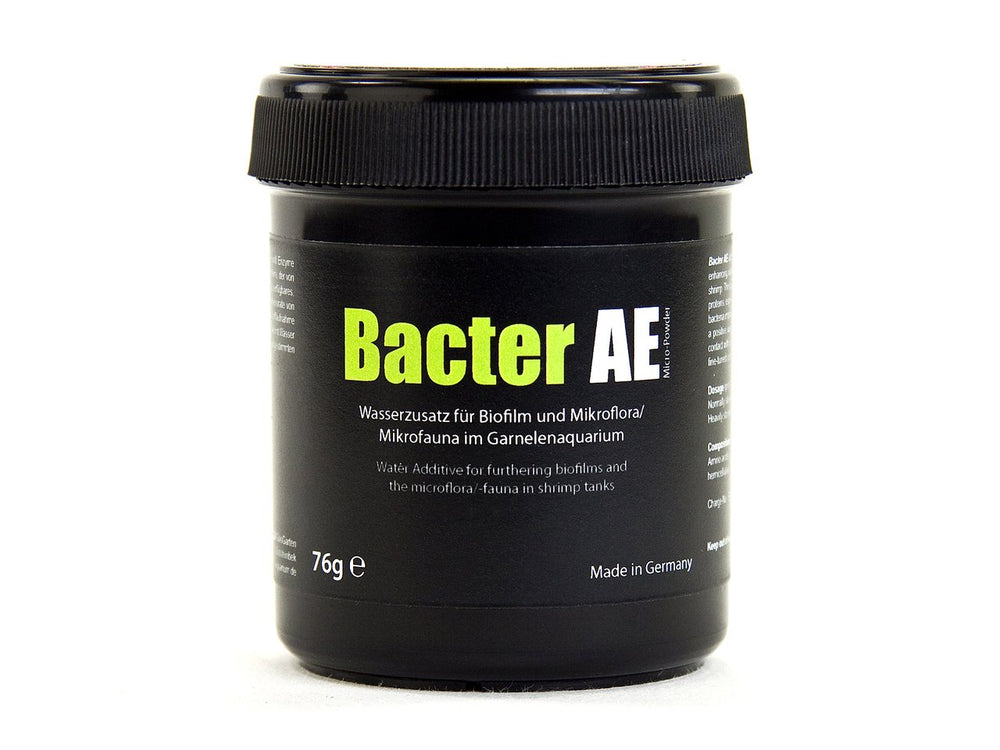 UINCLU GlasGarten Bacter AE en usage dans aquarium montrant formation de biofilm utile aux crevettes