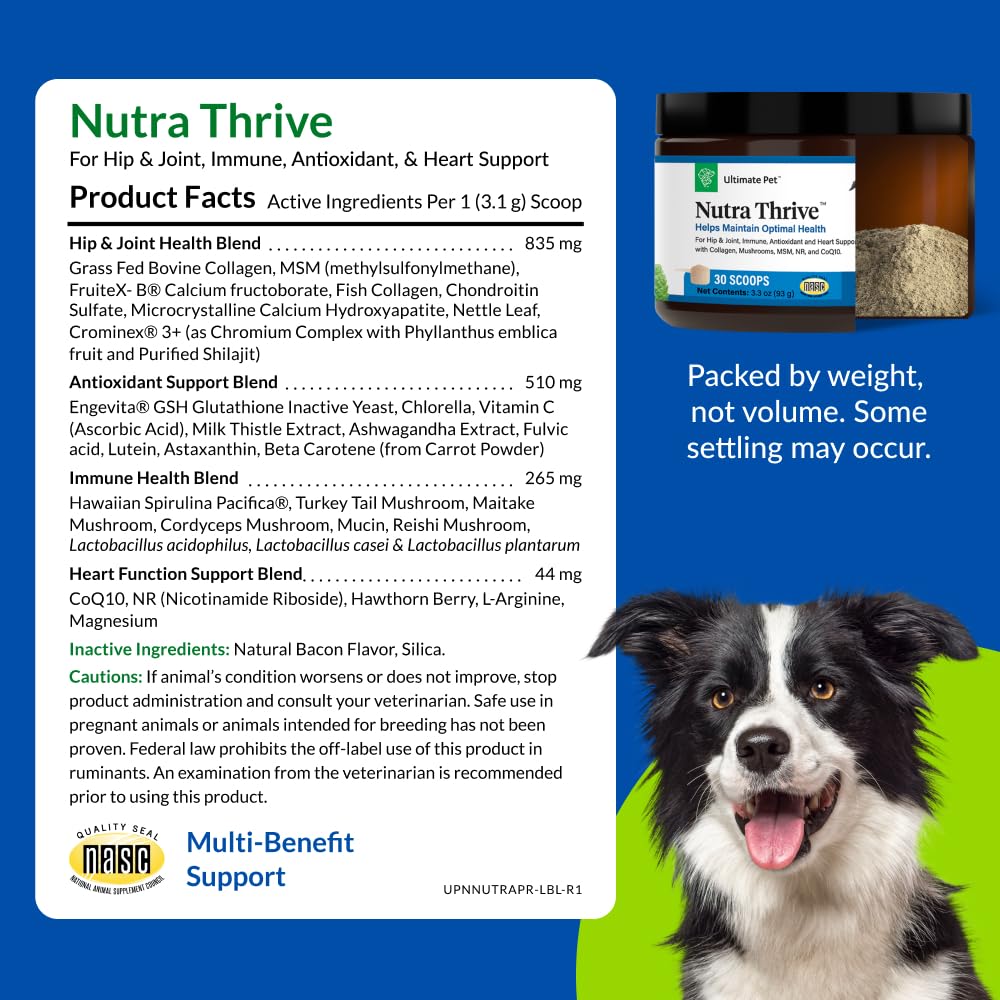 ULTIMATE PET NUTRITION pot avec croquettes assiette bénéfice rehausseur de saveur