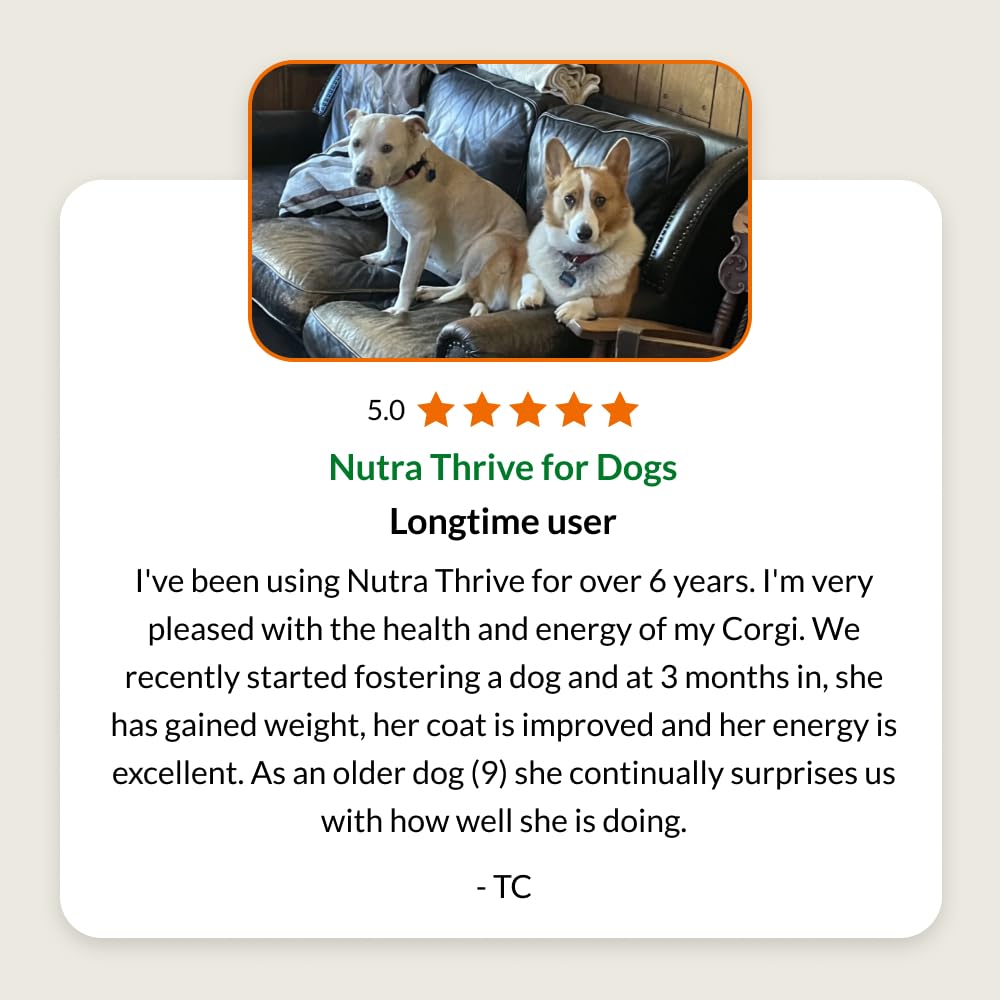 ULTIMATE PET NUTRITION étiquette produit liste d’ingrédients bénéfice transparence