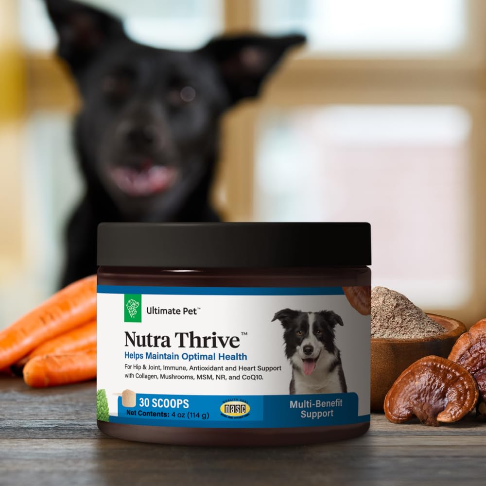 ULTIMATE PET NUTRITION chien mangeant bol avec poudre bénéfice appétit stimulé