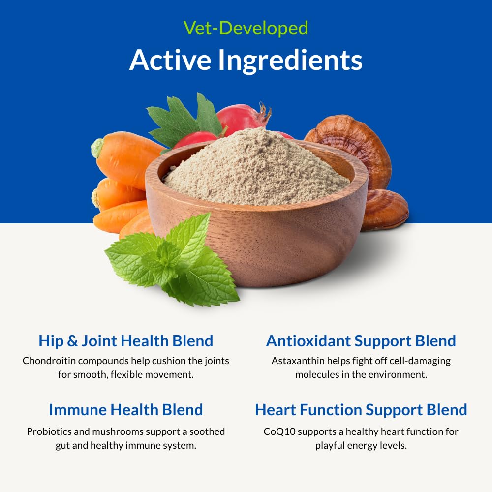 ULTIMATE PET NUTRITION gros plan poudre Nutra Thrive bénéfice apport nutritif concentré