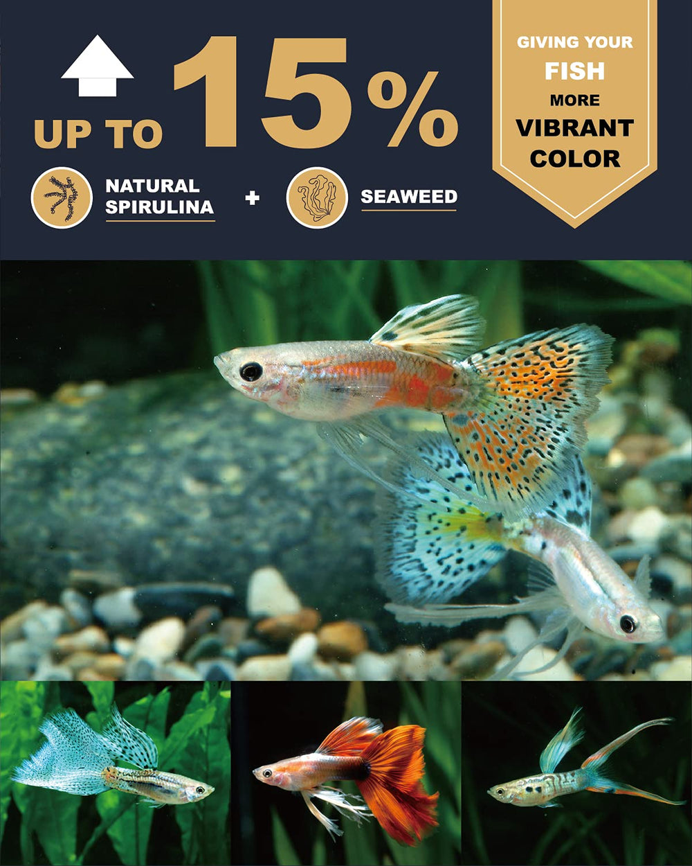 Ultra Fresh granulés dispersés dans aquarium pour poisson plus coloré