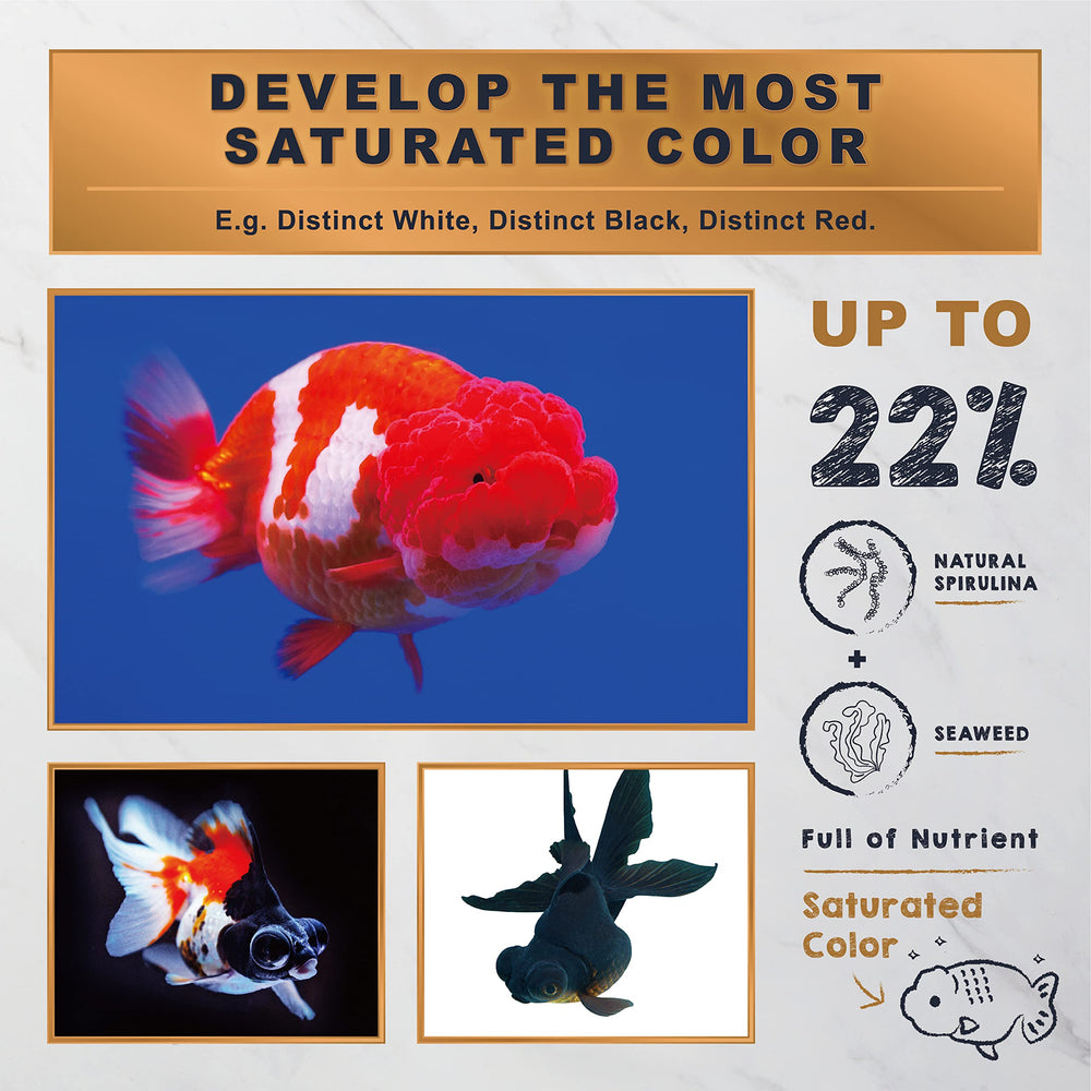 Ultra Fresh emballage nutrition étiquette détaillant vitamines et probiotiques