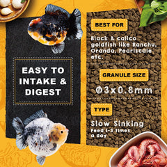 Ultra Fresh poisson rouge mangeant croquette montrant appétence élevée