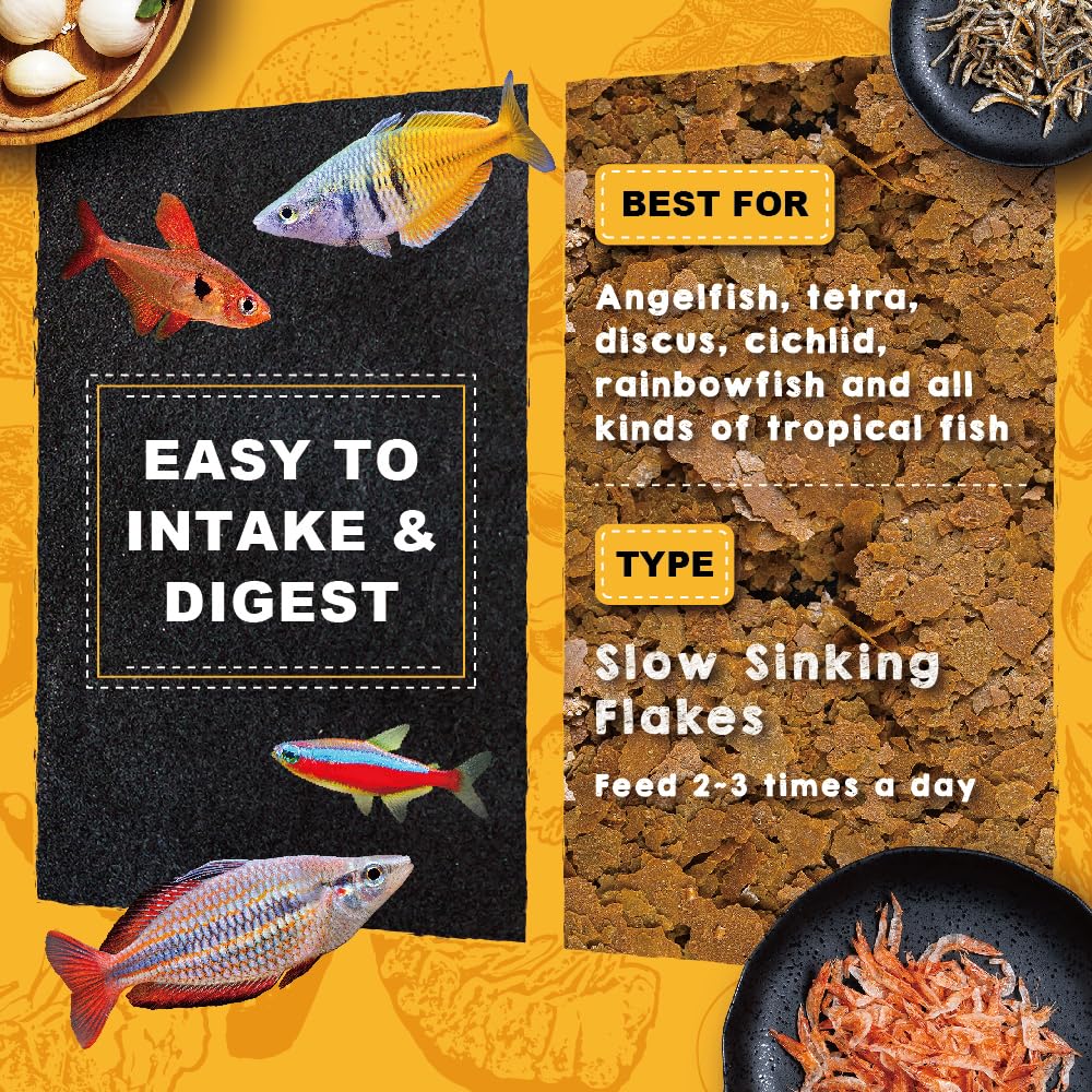 Ultra Fresh poissons en aquarium montrant couleurs rehaussées et vitalité