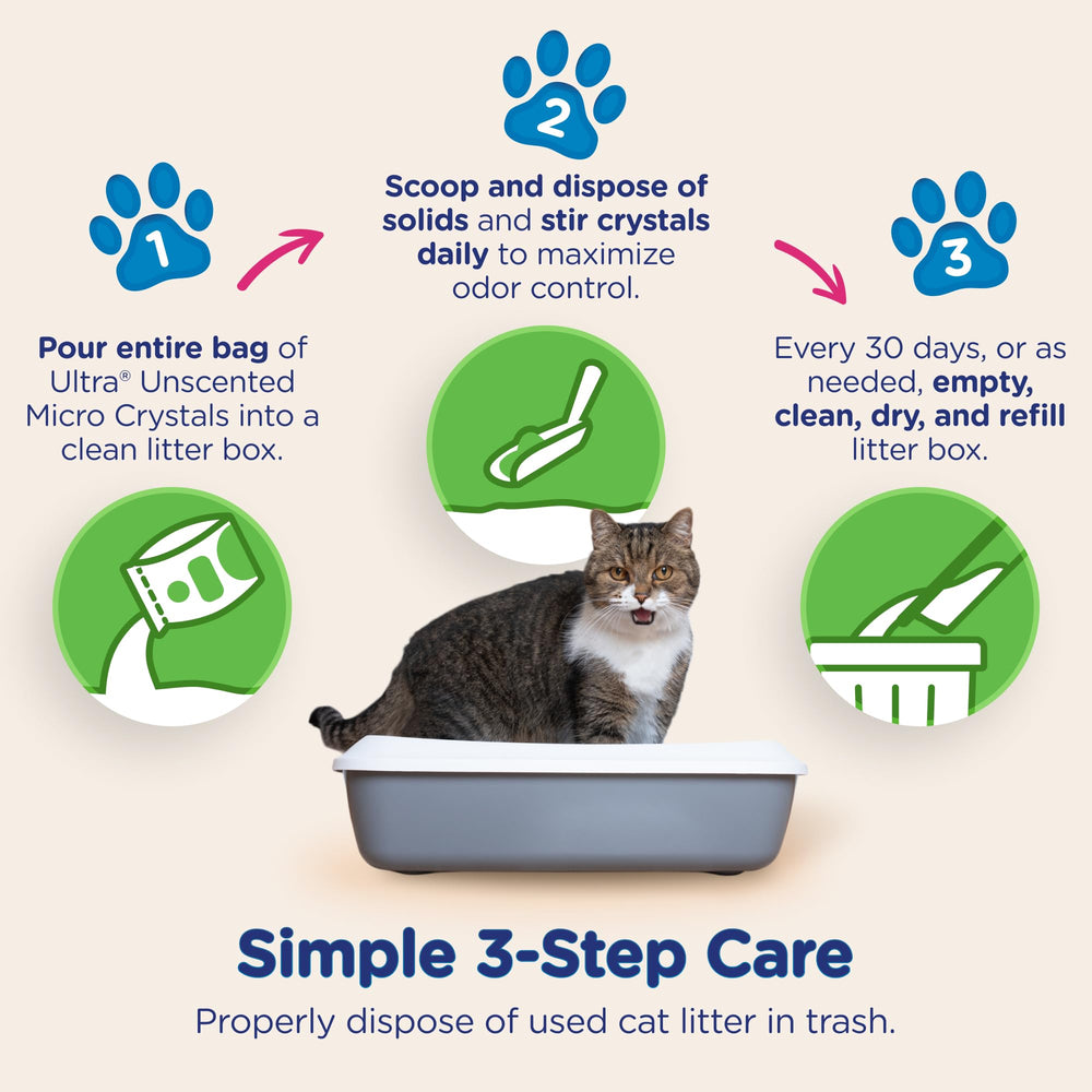 ULTRA gros plan sur pattes de chat montrant douceur et confort