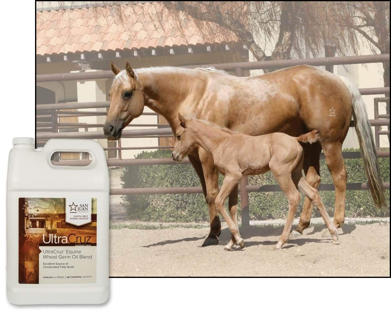 UltraCruz gros plan sur texture huileuse et aspect limpide pour mélange facile
