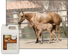 UltraCruz gros plan sur texture huileuse et aspect limpide pour mélange facile