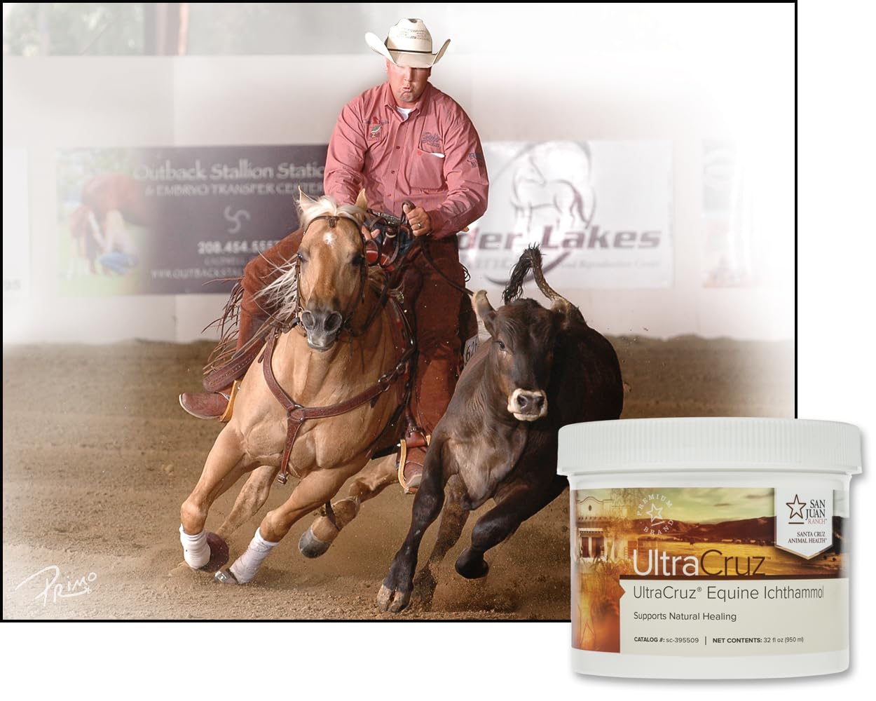 UltraCruz application sur flanc de cheval pour nettoyage et confort local
