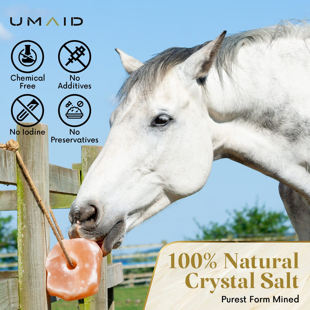 UMAID bloc suspendu sur corde en utilisation par un cheval, offre minéraux accessibles