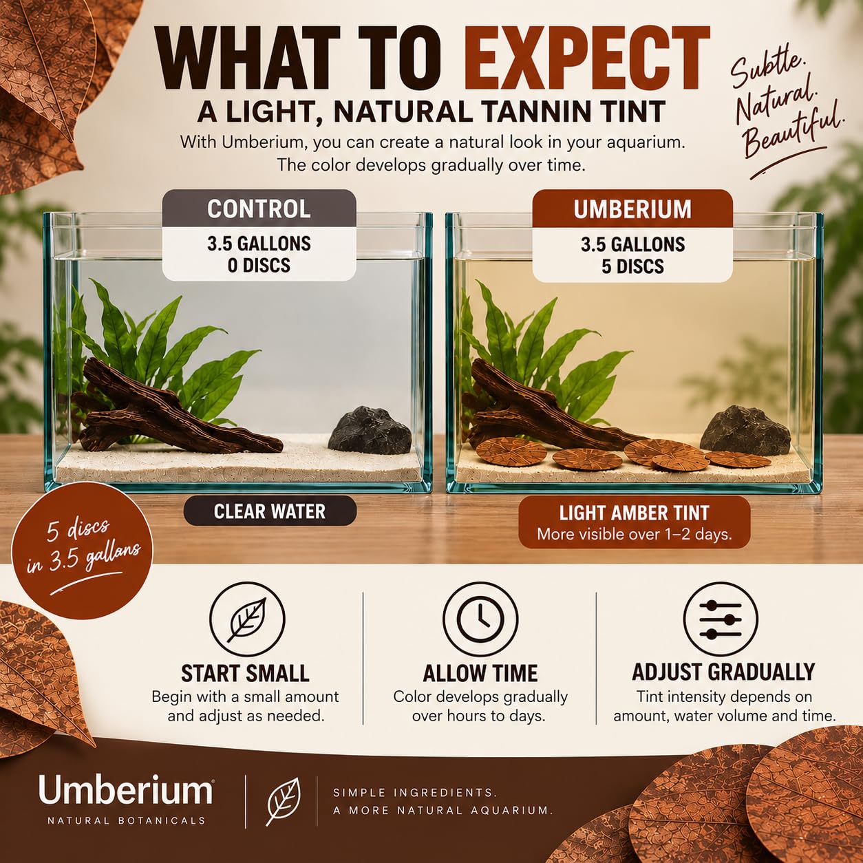 Umberium scène blackwater éclairée pour ambiance naturelle et visuelle