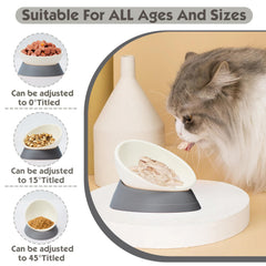 Umysky zoom sur plan penché pour bouledogue montrant orientation des croquettes