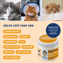 Under the Weather chat mangeant le mélange montrant gain d'appétit