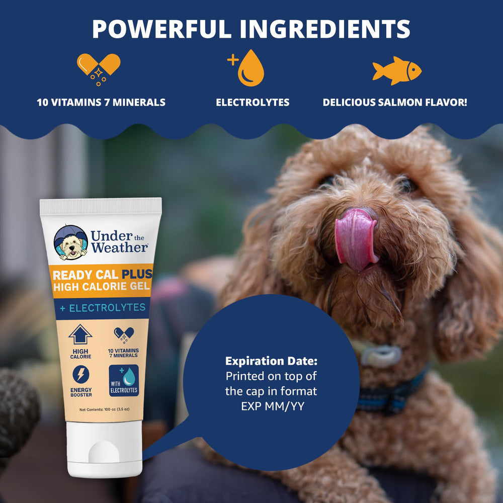Under the Weather texture du gel proche montrant consistance lickable et appétence