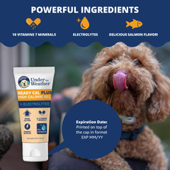 Under the Weather texture du gel proche montrant consistance lickable et appétence