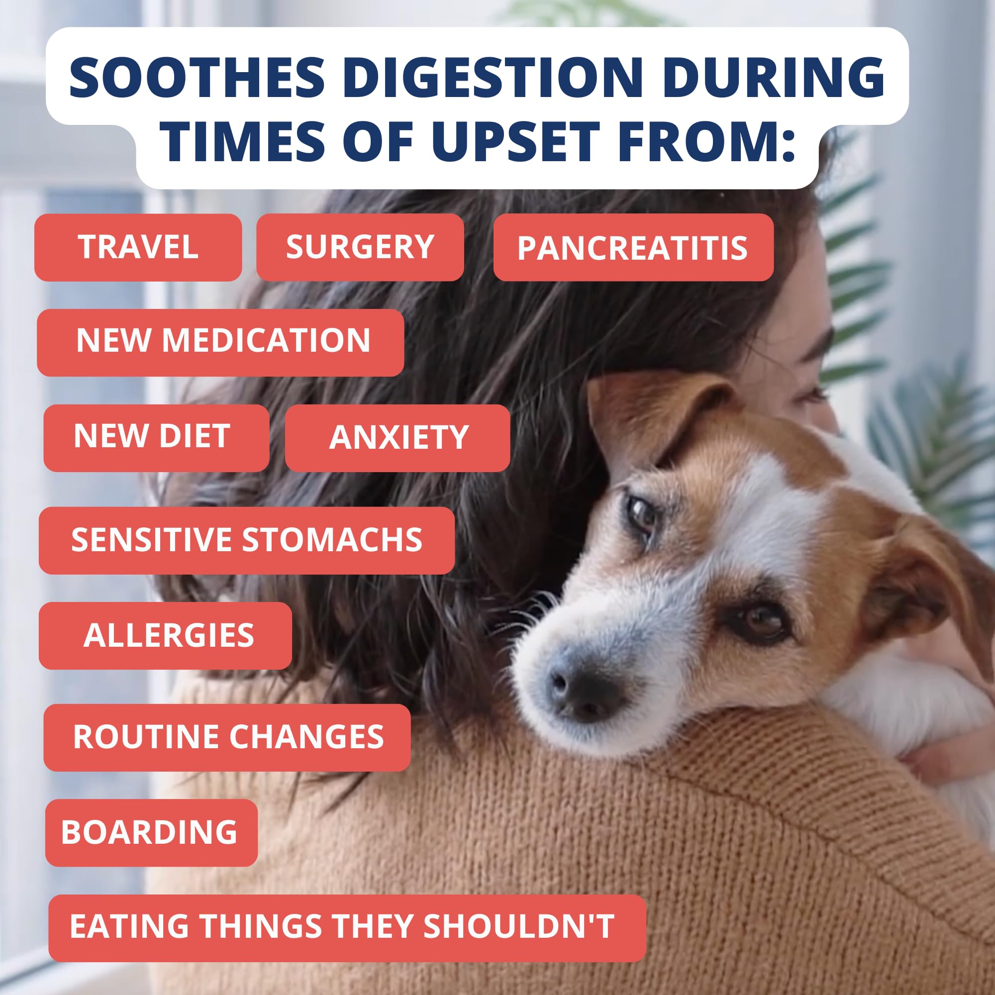 Under the Weather étiquette et date d’expiration, informations claires pour l’utilisateur