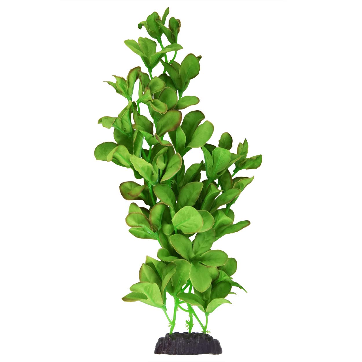 Underwater Treasures Bacopa Monnieri 12" face produit montrant le tissu soyeux et le réalisme