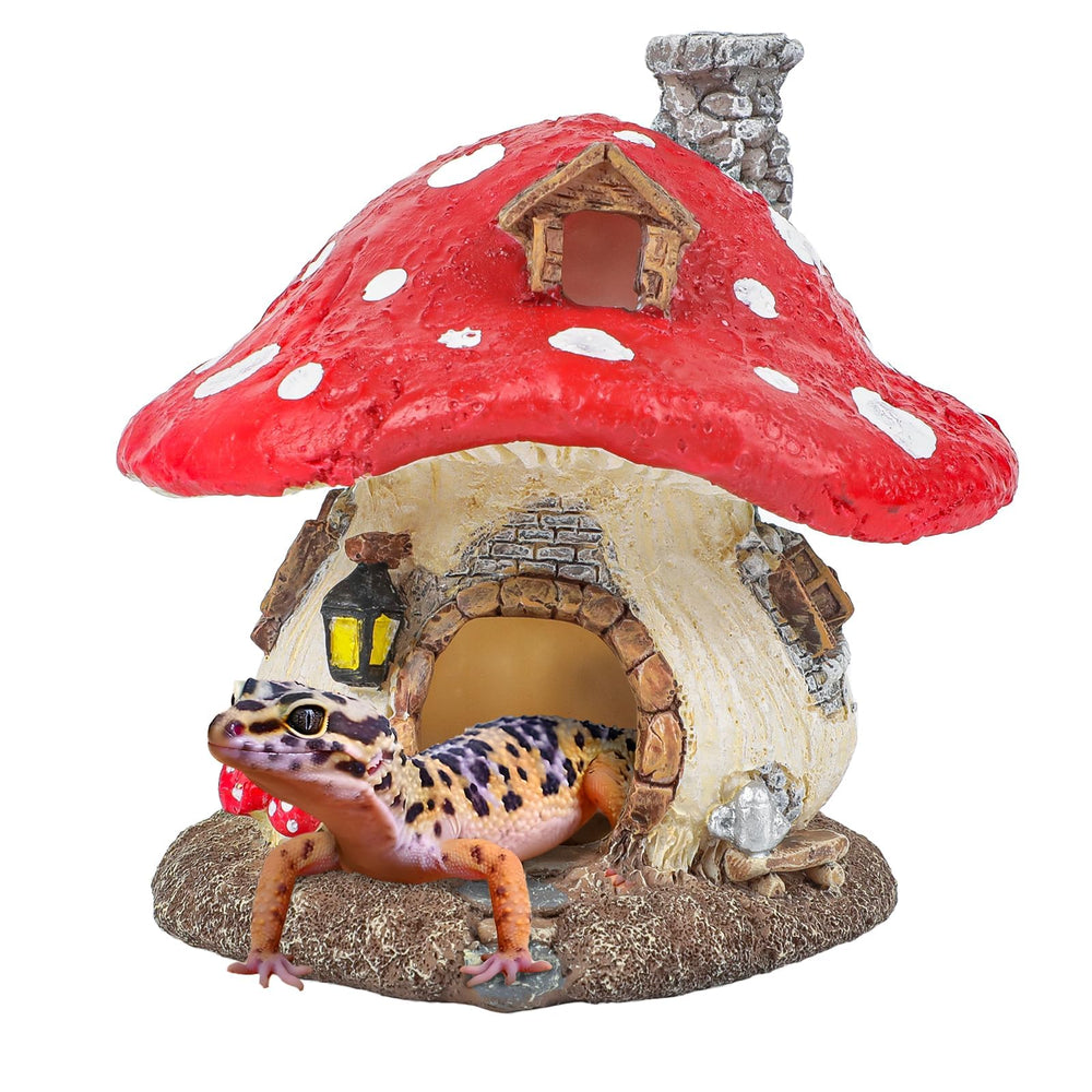 Uniclife maison champignon face montrant abri et réalisme décoratif