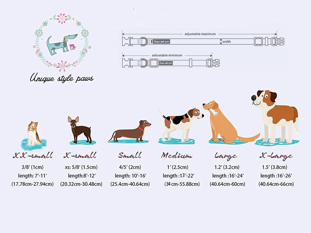 Unique style paws anneau D renforcé pour attacher laisse en toute confiance