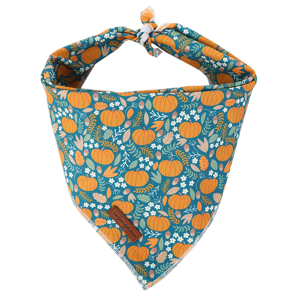 Unique Style Paws bandana devant montrant motif Halloween et confort