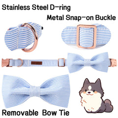 Unique Style Paws détail de la boucle et D-ring garantissant solidité
