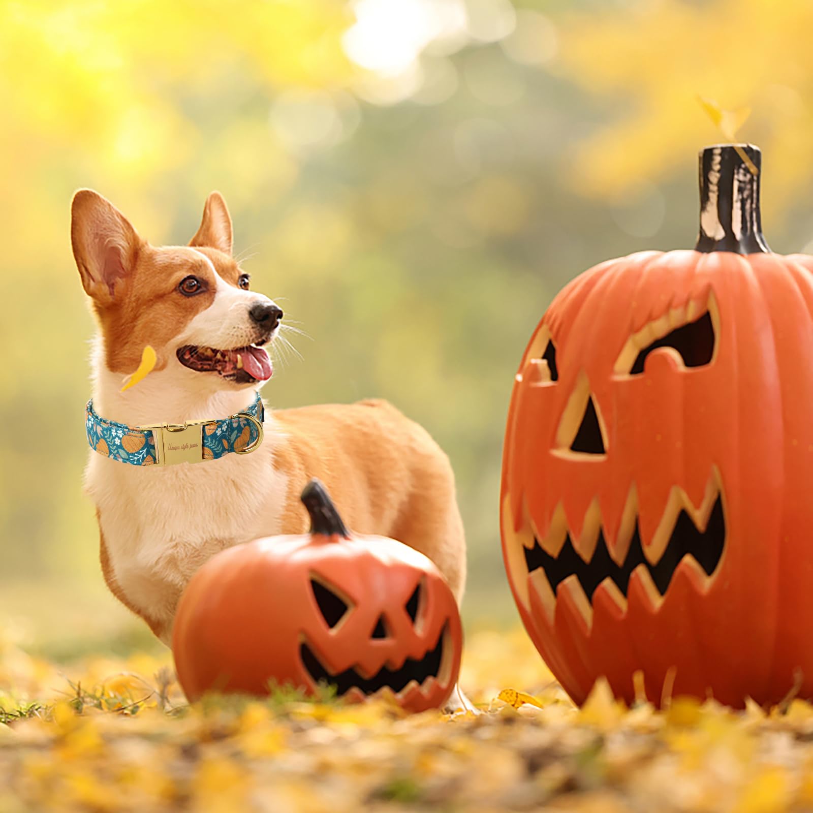 Unique style paws chiot portant collier confort adapté et look Halloween