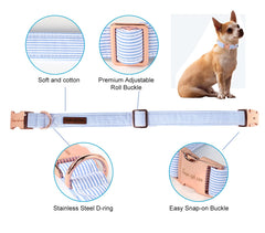 Unique Style Paws gros plan coutures et D-ring résistant pour sécurité