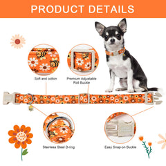 Unique style paws gros plan sur la boucle plastique, sécurité et maniabilité