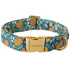 Unique style paws face avant collier citrouille verte offrant style et confort
