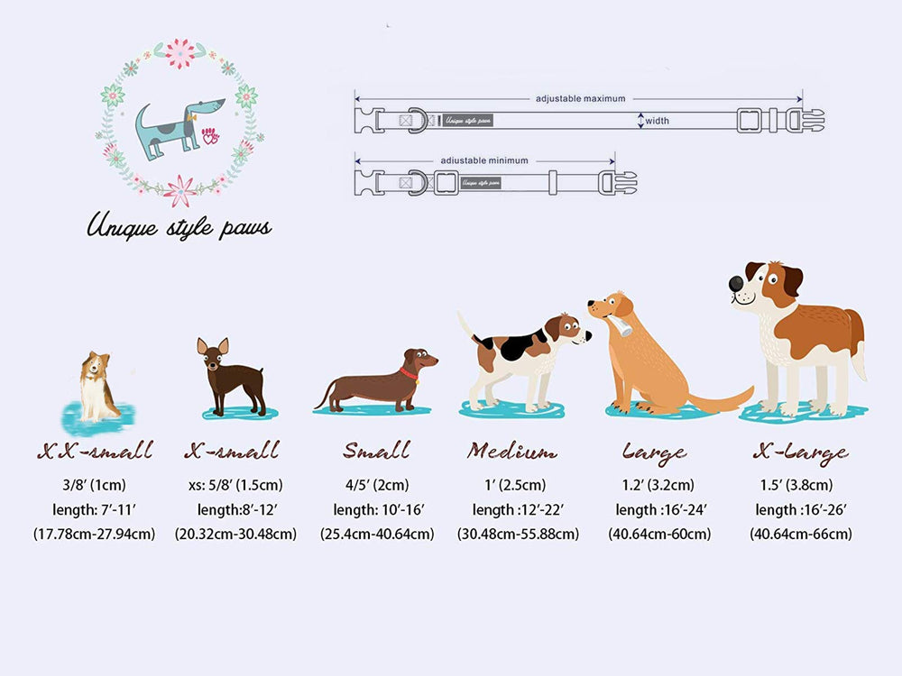Unique Style Paws collier en contexte printanier pour style festif