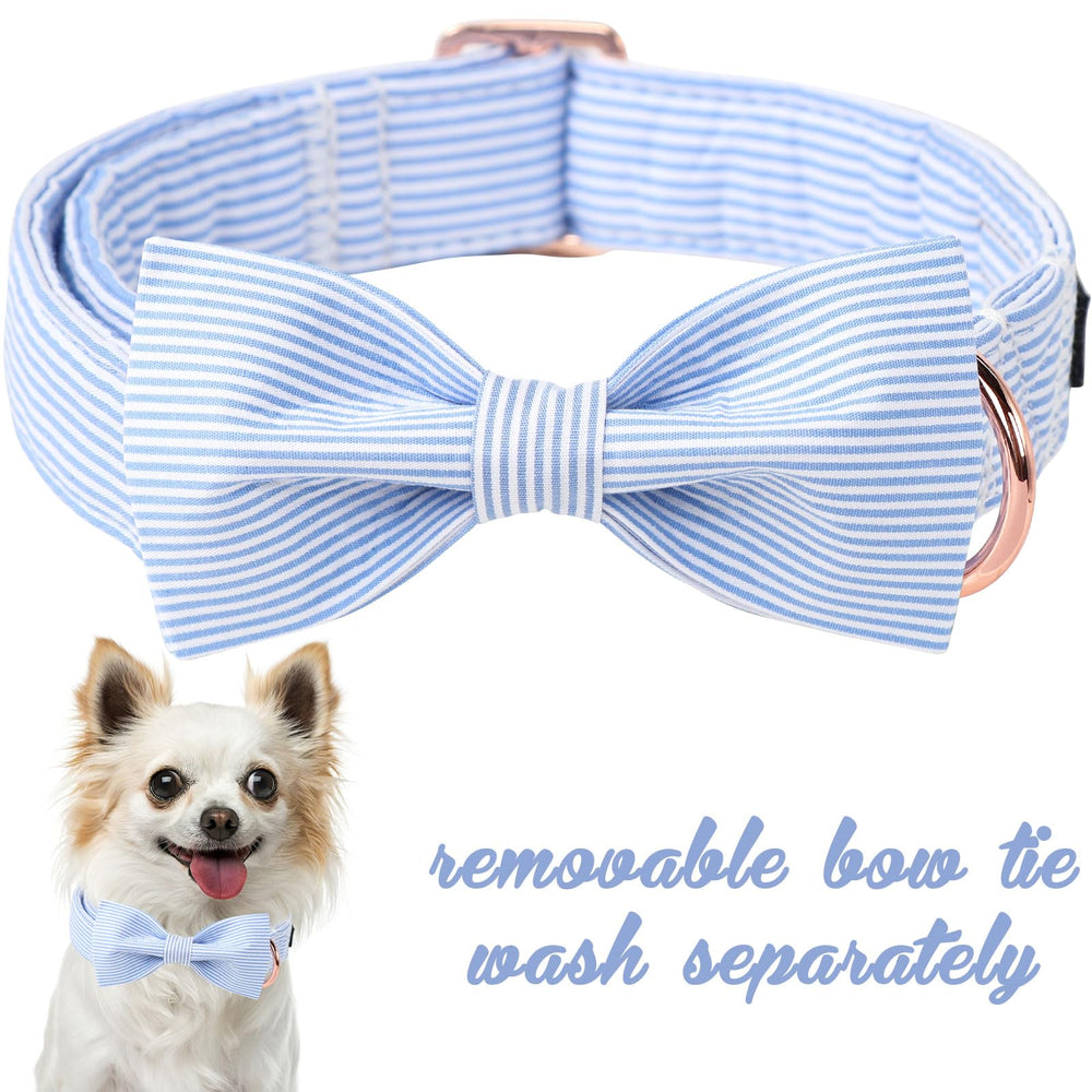 Unique Style Paws gros plan du tissu en coton montrant douceur et qualité