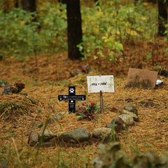 Unittype croix plantée dans jardin, mémorial visible et discret