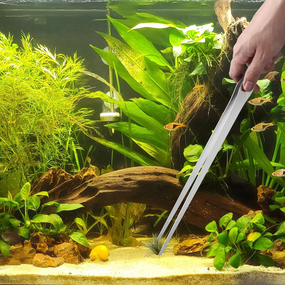 Unlumm pince utilisée en aquascape pour positionner plantes avec précision