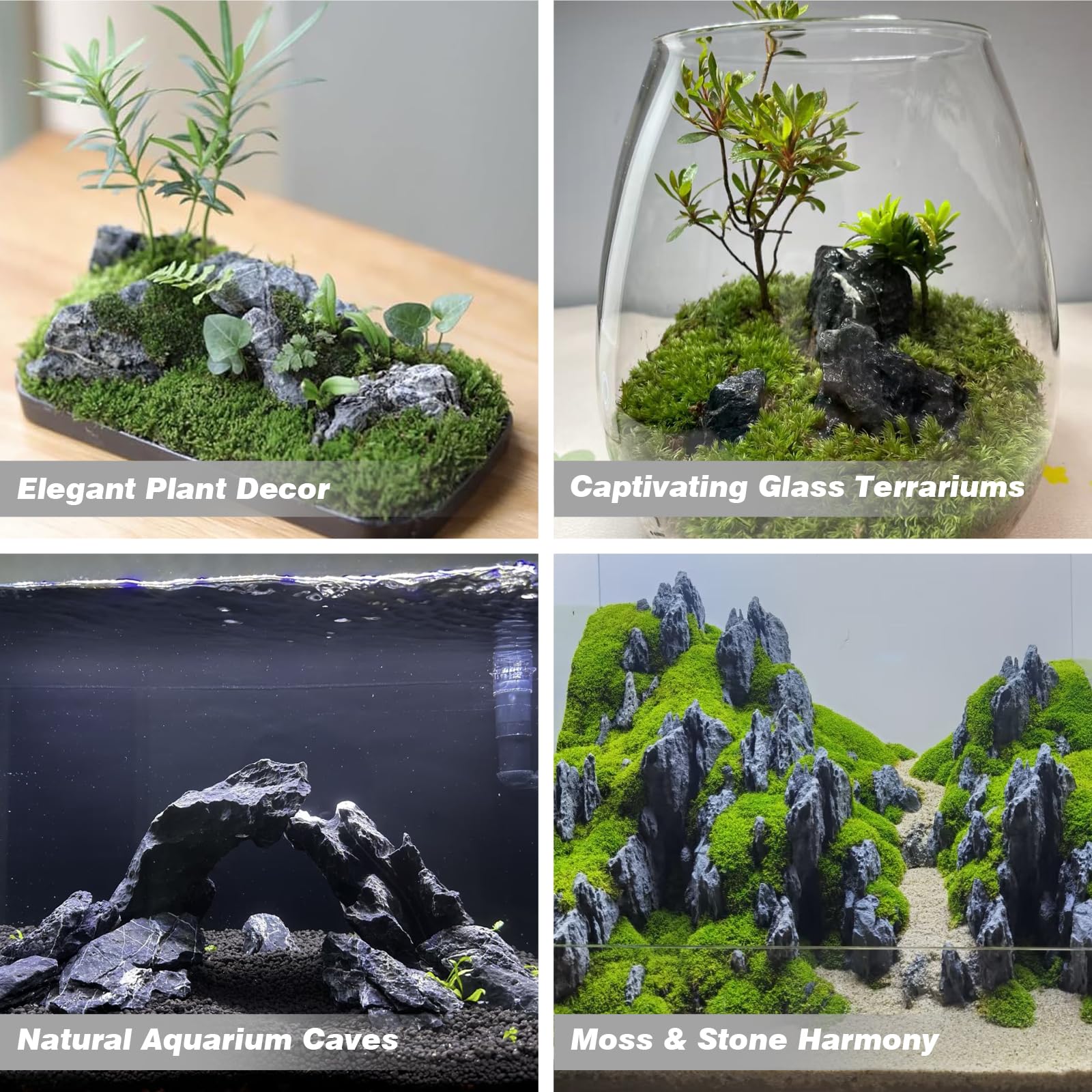 Unocho Seiryu Rock dans aquarium avec plantes montrant esthétique naturelle