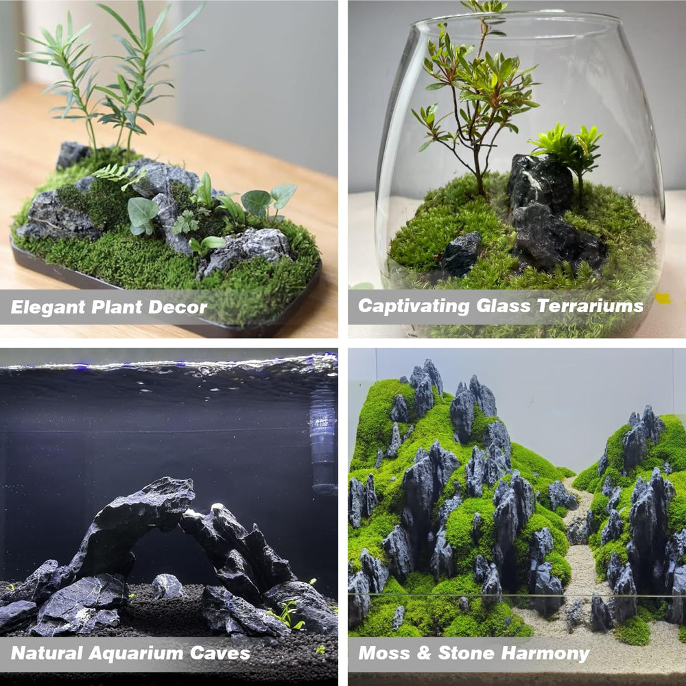 Unocho Seiryu Rock dans aquarium avec plantes montrant esthétique naturelle