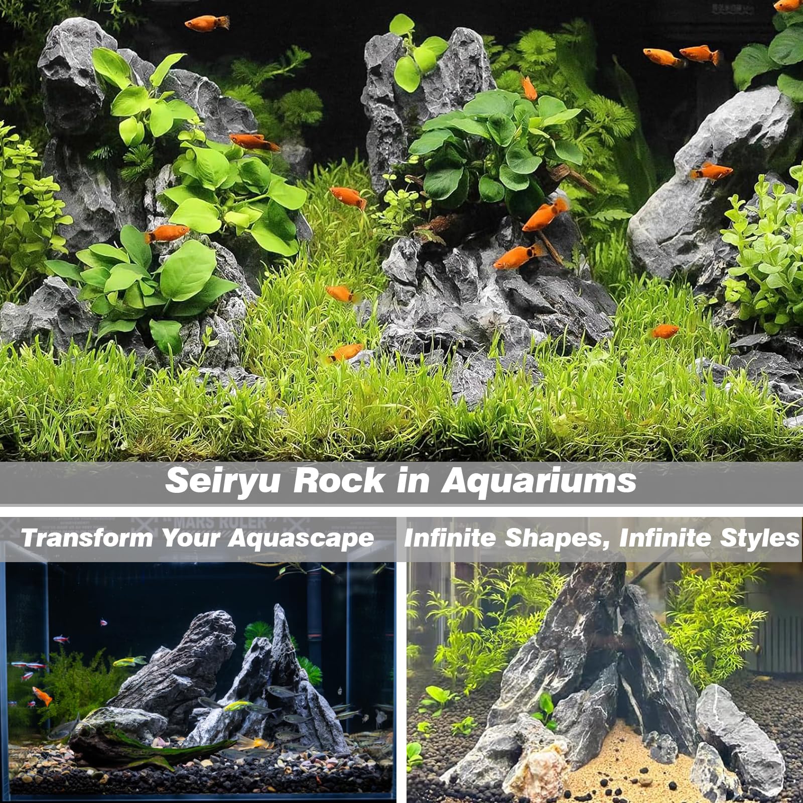 Unocho Seiryu Rock comparé à une main montrant taille utile pour hardscape