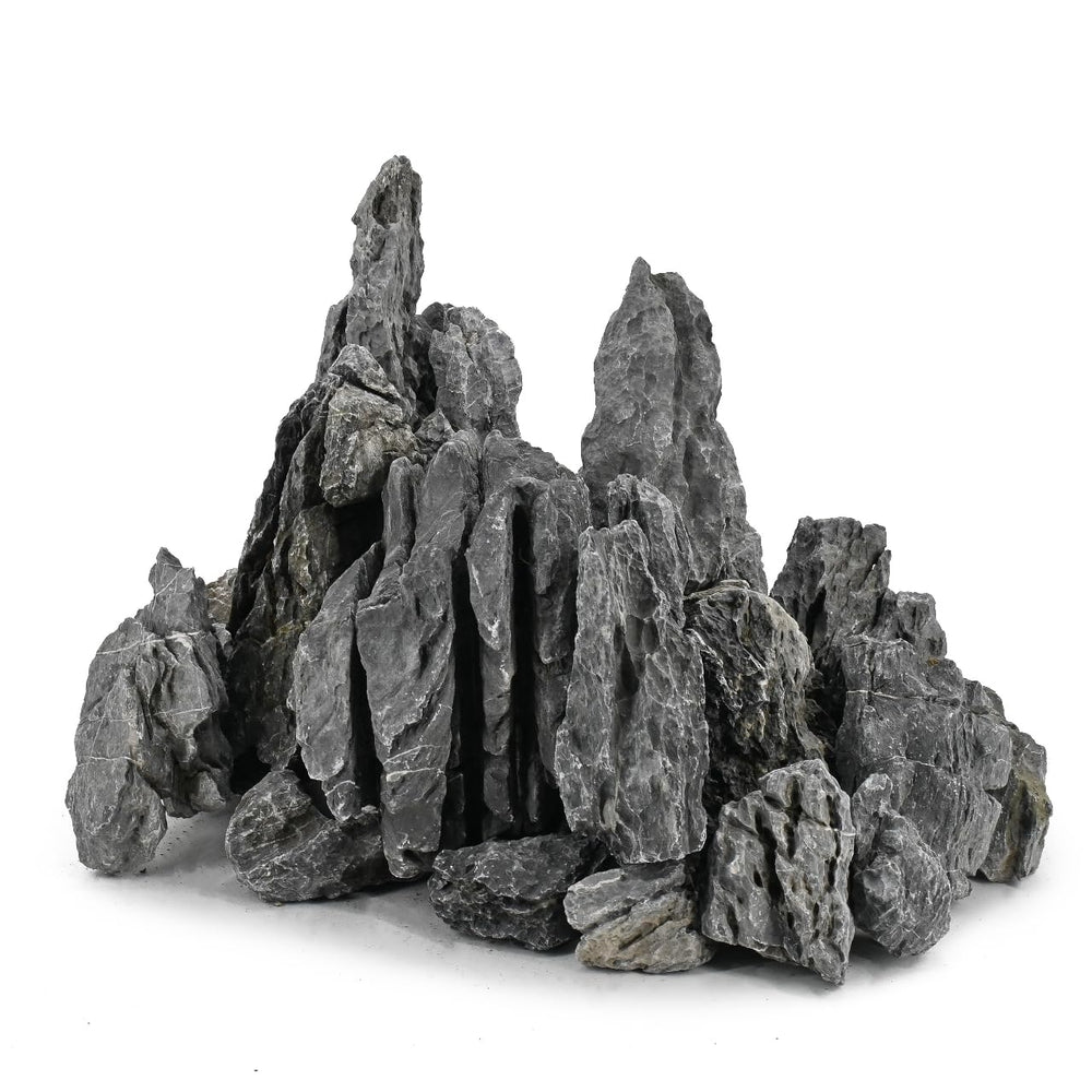 Unocho Seiryu Rock face avant du lot montrant formes naturelles et contraste utile