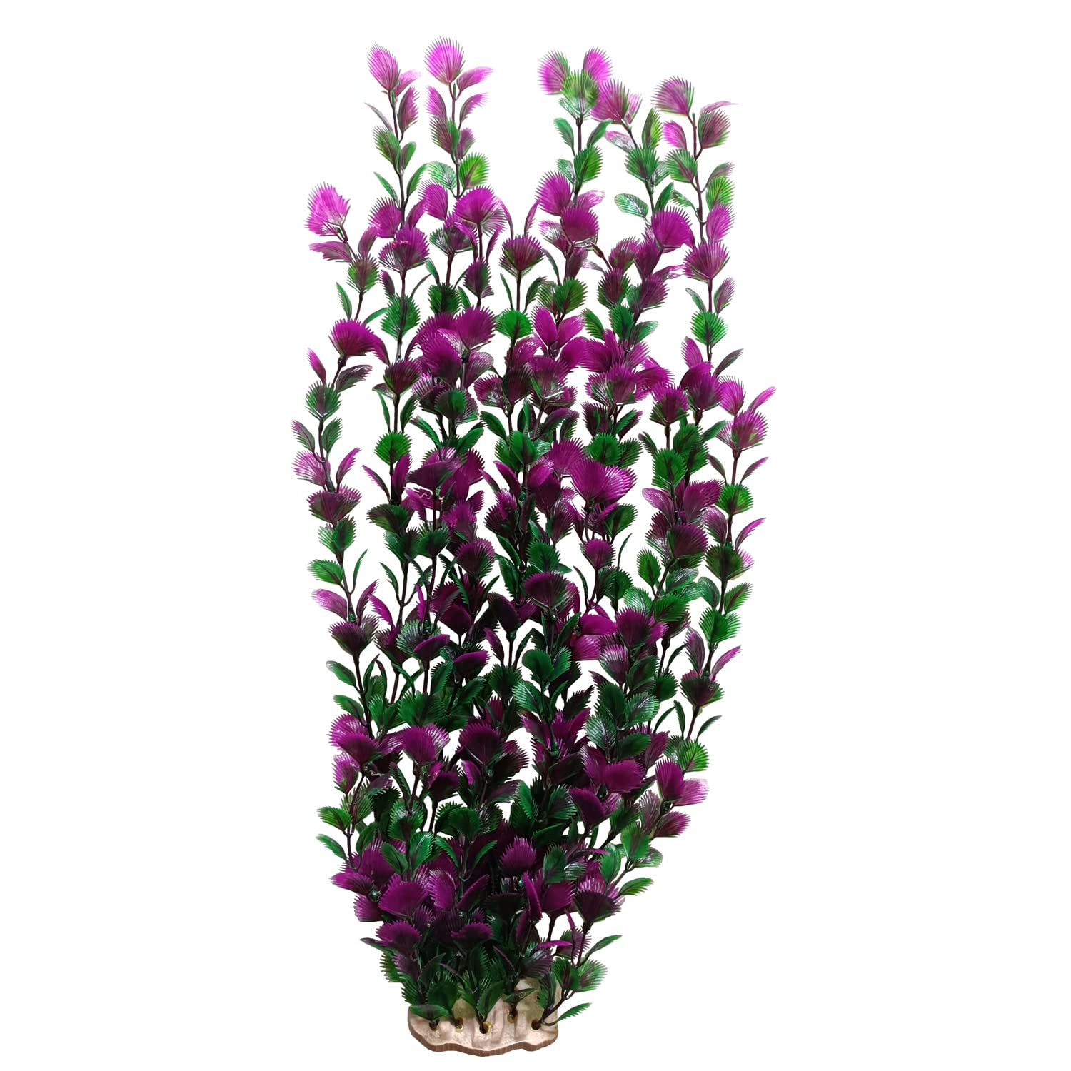 unootel plante aquarium face montrant hauteur et base stable
