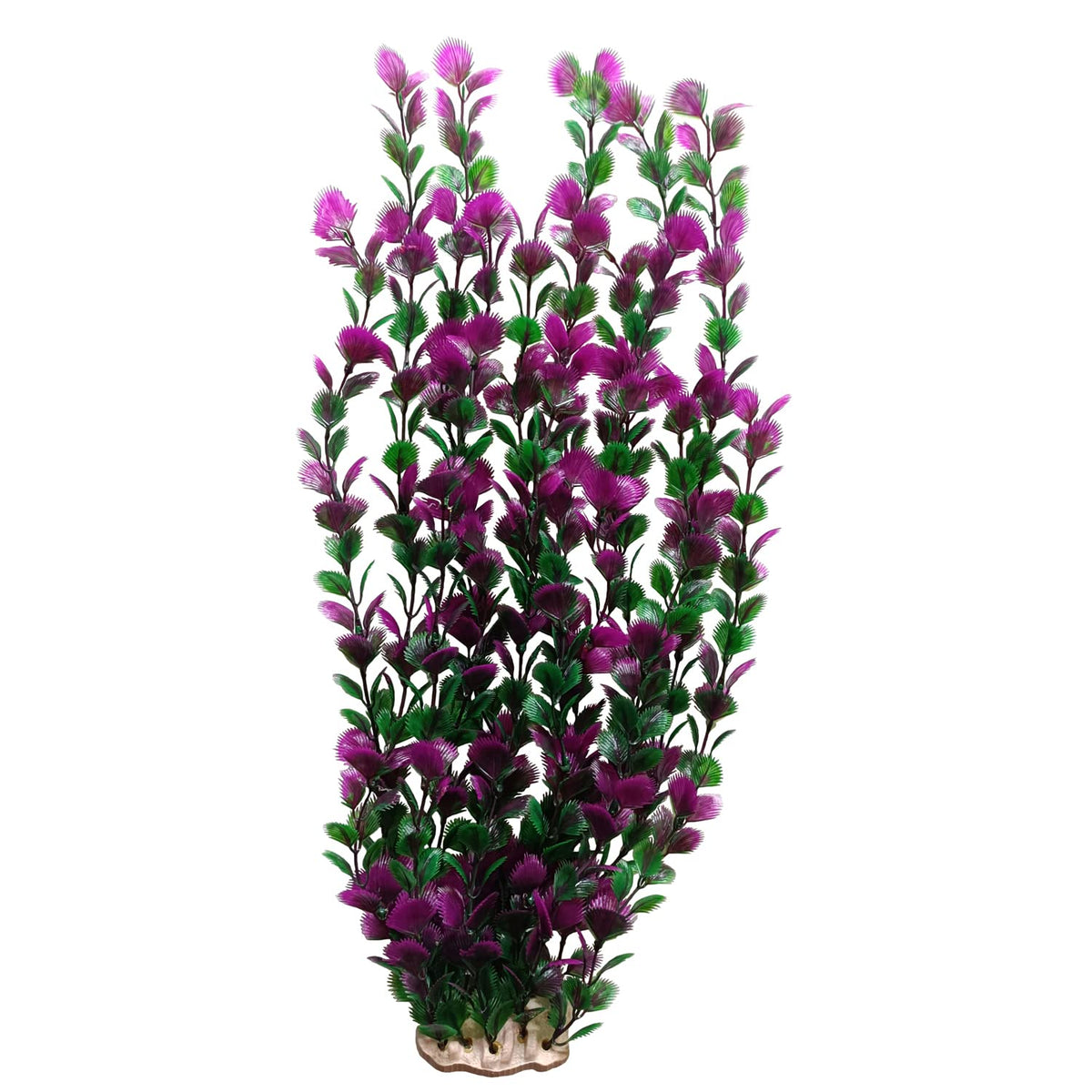 unootel plante aquarium face montrant hauteur et base stable