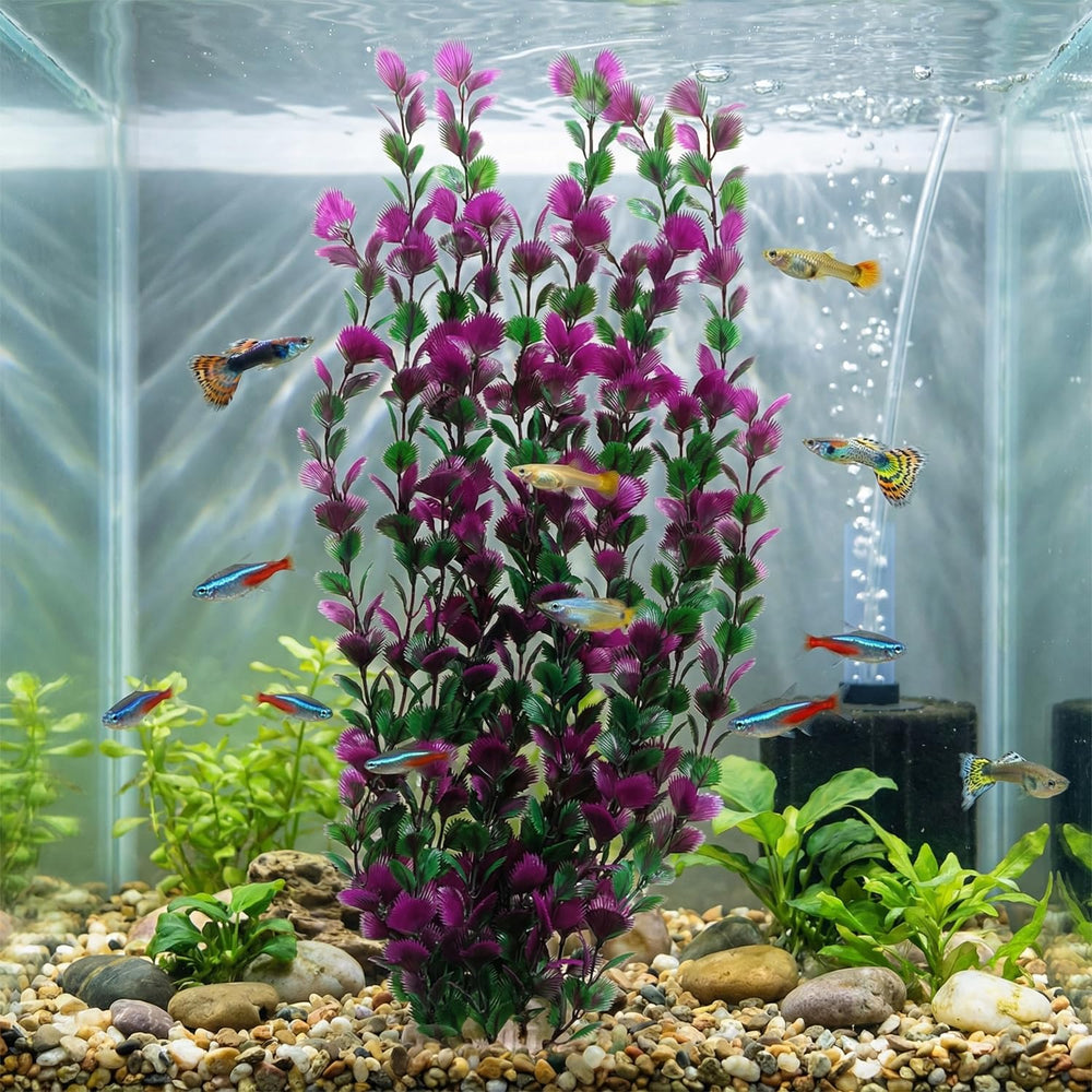 unootel gros plan feuilles souples violet vert offrant cachette sûre