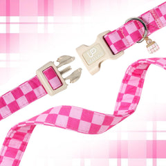 UP URARA PUP collier ajusté sur petit chien, maintien confortable pour promenades