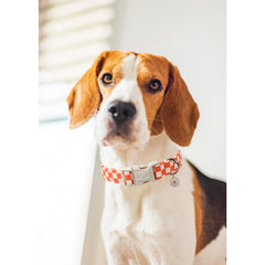 UP URARA PUP pendentif marguerite dorée détail photogénique